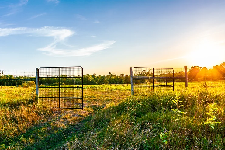 Open metal gate in a sunlit field with green grass and trees, under a clear blue sky with wispy clouds.