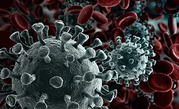 Close-up illustration of coronavirus particles surrounded by red blood cells.