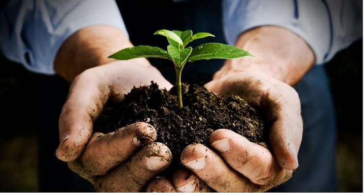 Hands holding a small plant in soil, symbolizing growth and nurturing.