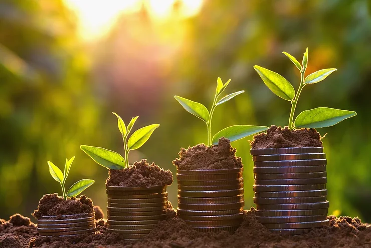 Four small plants growing from stacks of coins, with sunlight in the background.
