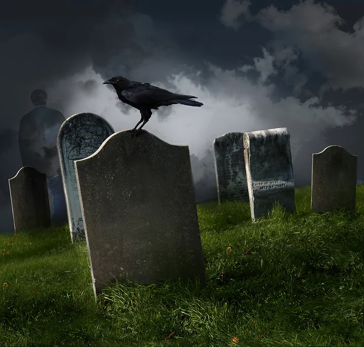 A crow perches on a gravestone in a dimly lit cemetery, surrounded by several other gravestones under a cloudy sky.